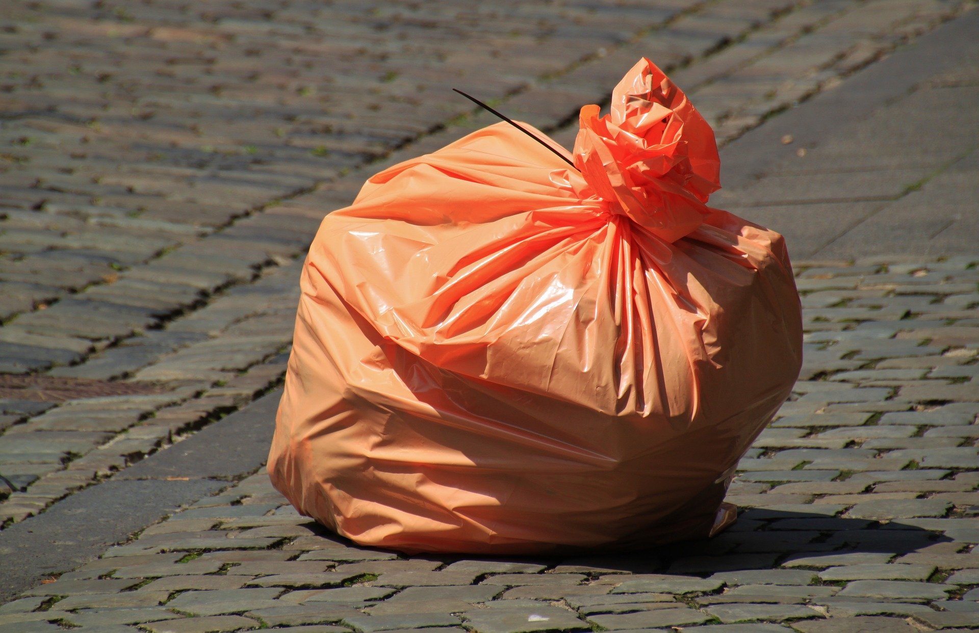 Dicas De Como Reduzir O Uso De Sacolas Pl Sticas Para Ajudar O Meio